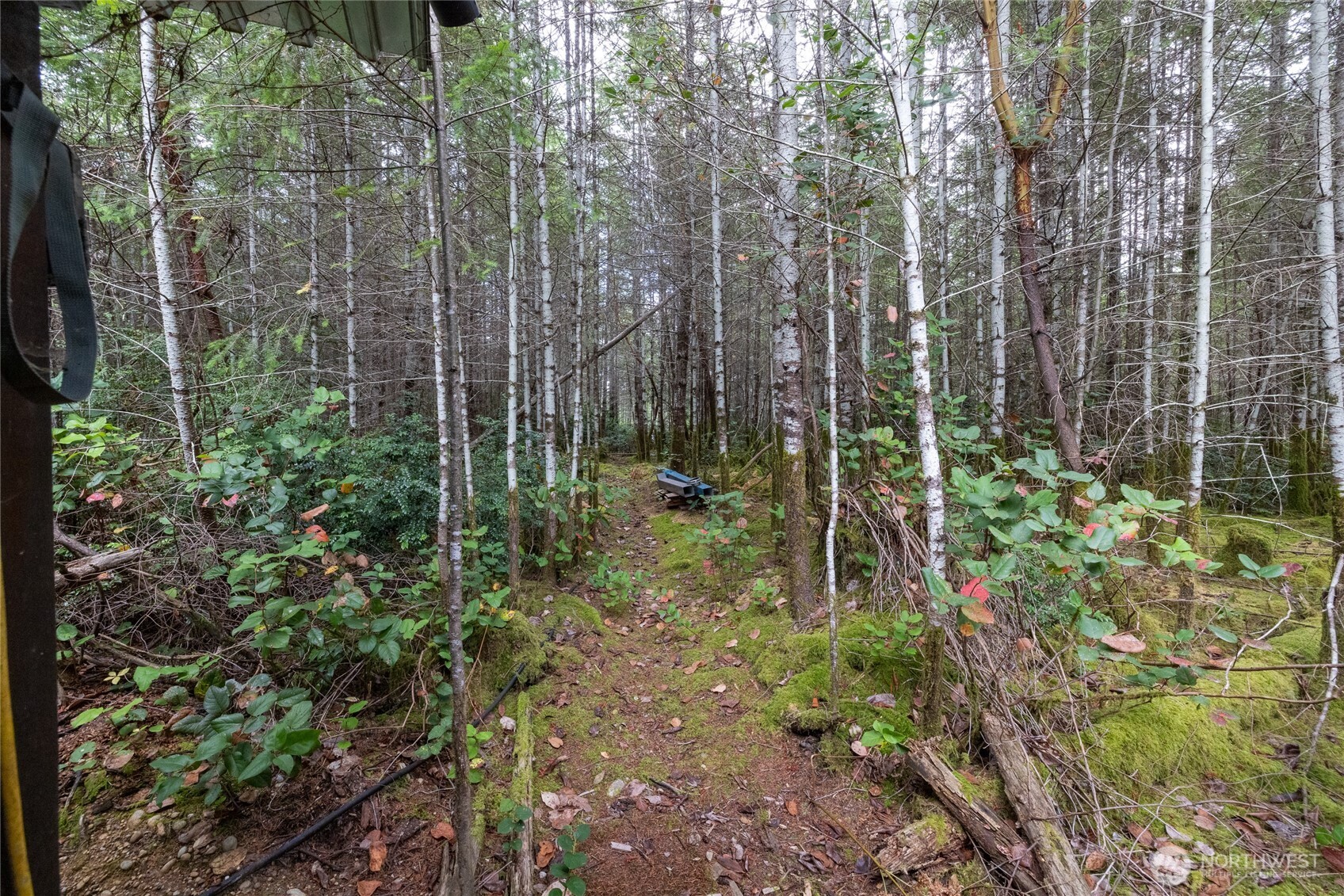 7201 Southwest Ridgeline Drive Port Orchard, WA 98367 - Photo 21 of 26