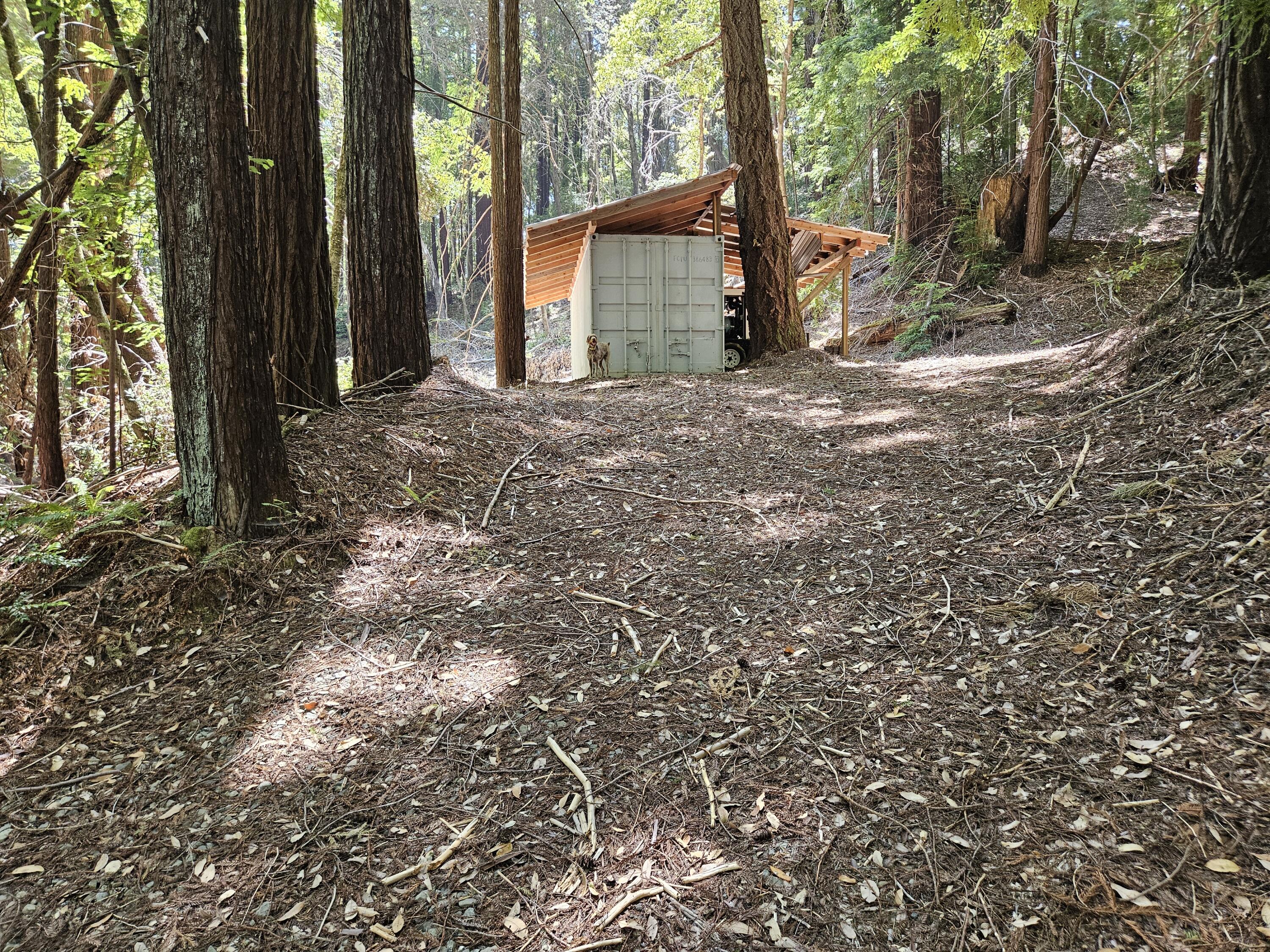 247 Twin Trees Road Garberville, CA 95542 - Photo 7 of 32