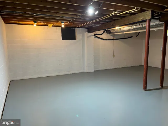 a couple of trees in a yard