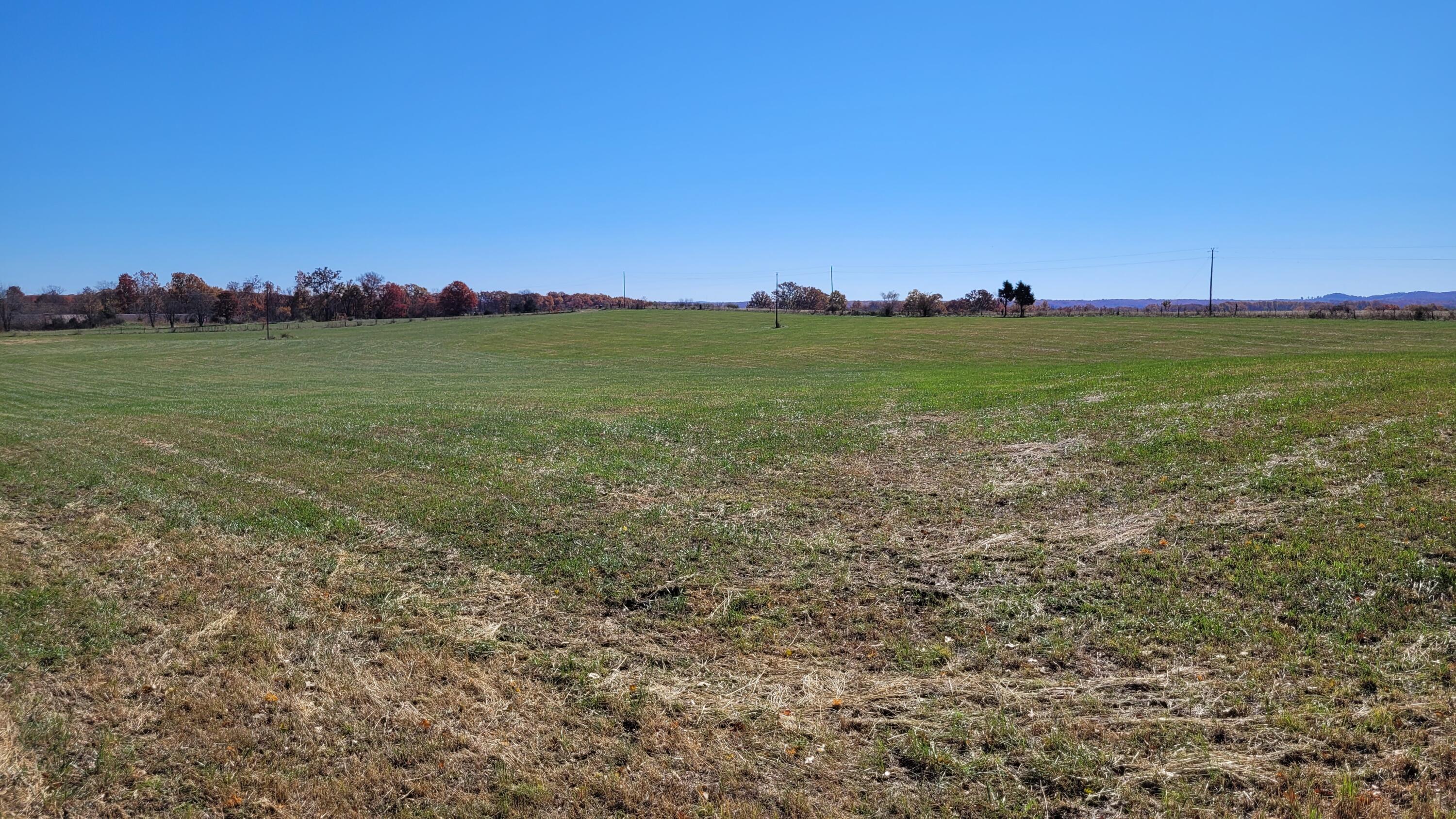 0 Red Oak Road Mansfield, MO 65704 - Photo 1 of 1 20221026_111617