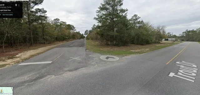 $35,000 | Lot 40 East Tiger Lily Lane, DeFuniak Springs, FL 32433