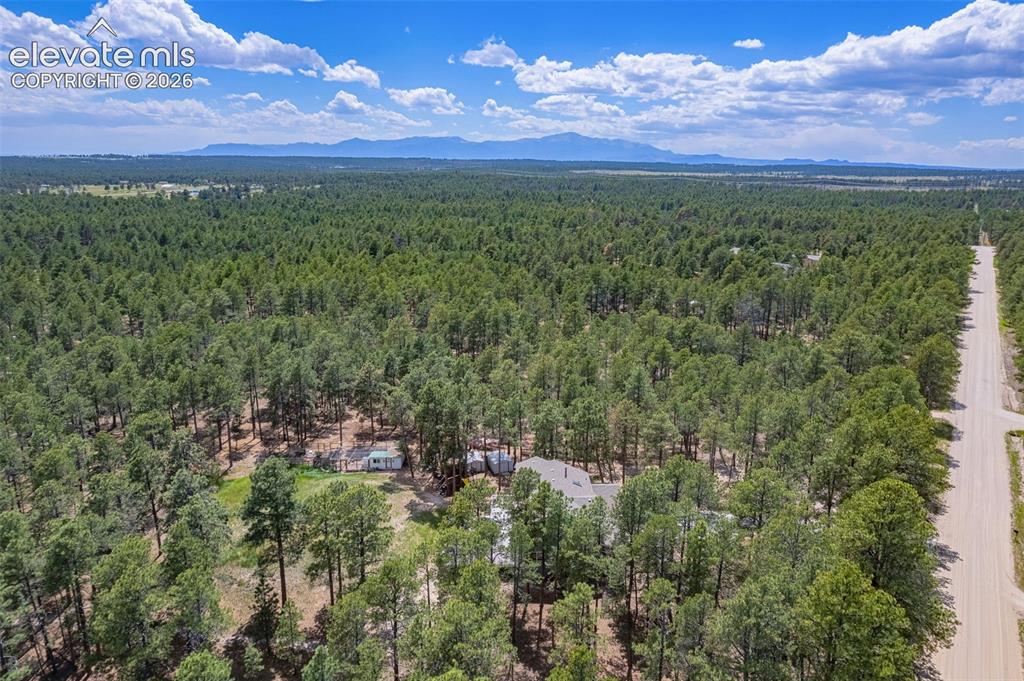 12175 Up River Road Elbert, CO 80106 - Photo 49 of 49