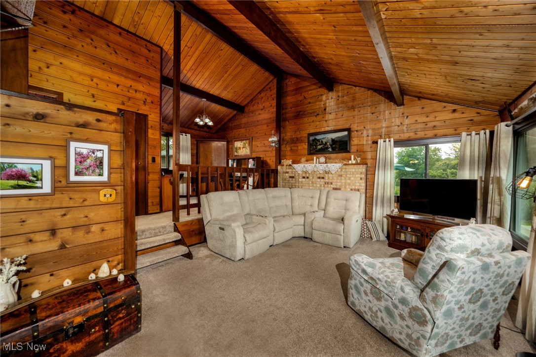 55901 Deep Run Road Martins Ferry, OH 43935 - Photo 27 of 50 Carpeted living room with wooden walls and wooden ceiling