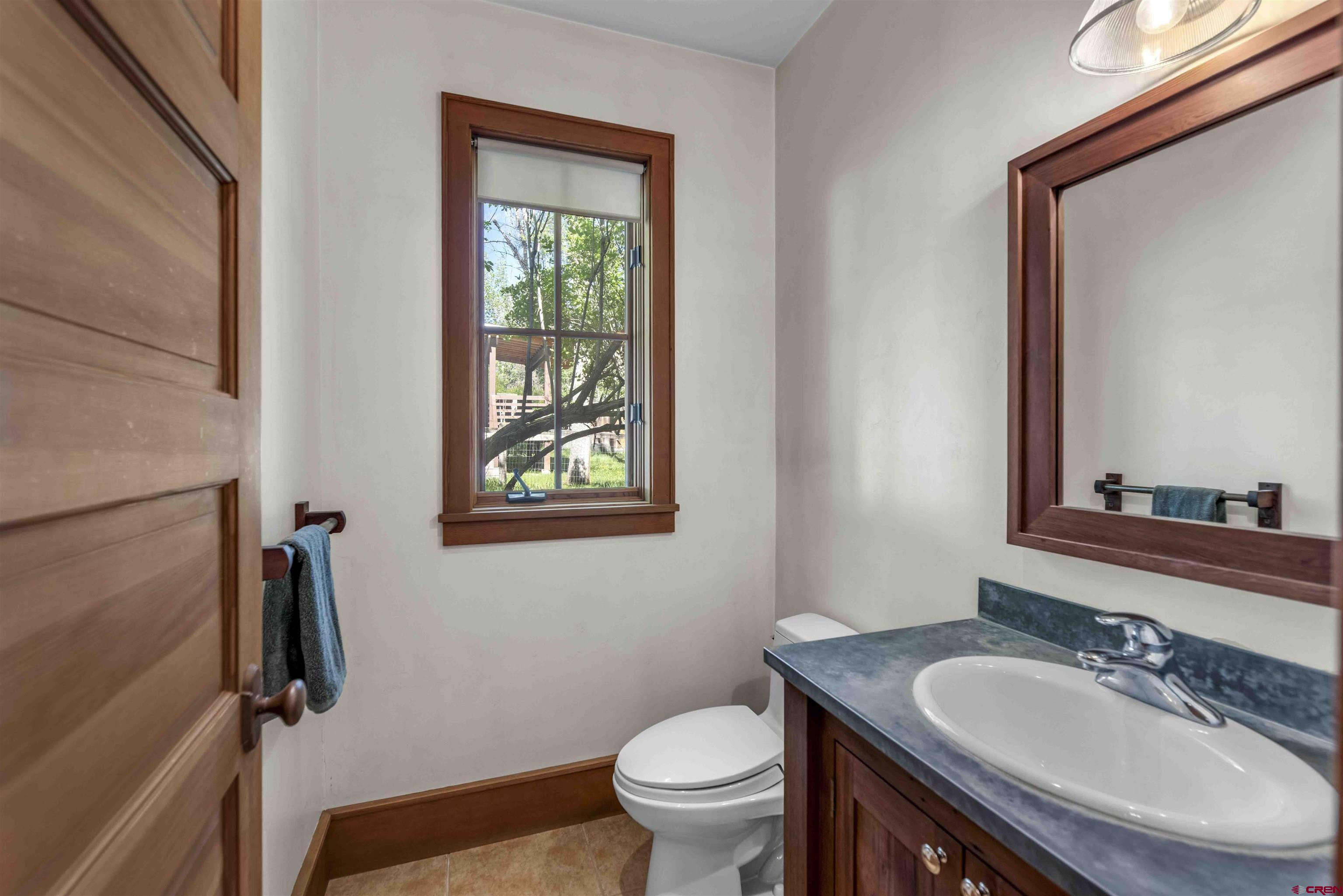 739 Clinton Street Ridgway, CO 81432 - Photo 13 of 39