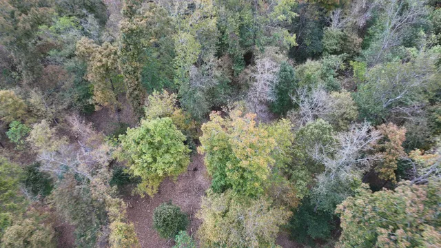 an aerial view of residential house with outdoor space and trees all around