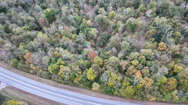 a view of a green field