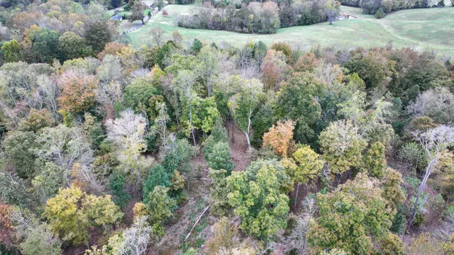 an aerial view of residential houses with outdoor space and trees