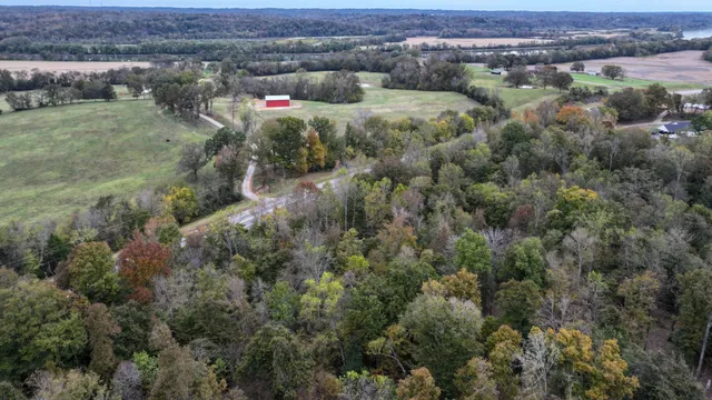an aerial view of residential houses with outdoor space and trees
