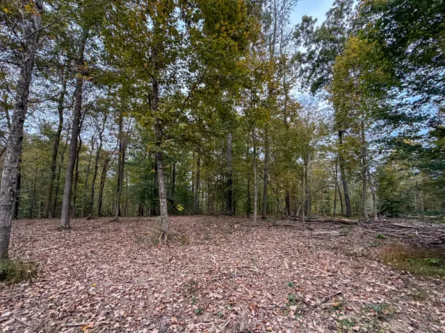 a backyard of a house with lots of trees