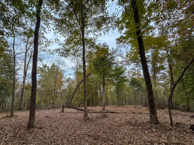 a view of outdoor space with trees