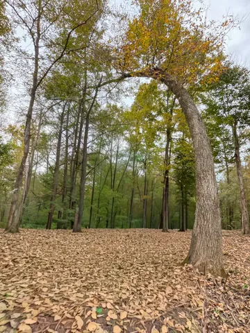 $148,500 | 2 Highway 149, Cumberland City, TN 37050