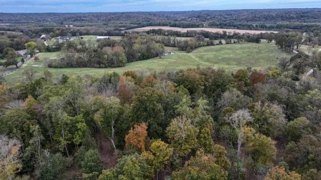 an aerial view of residential houses with outdoor space and trees