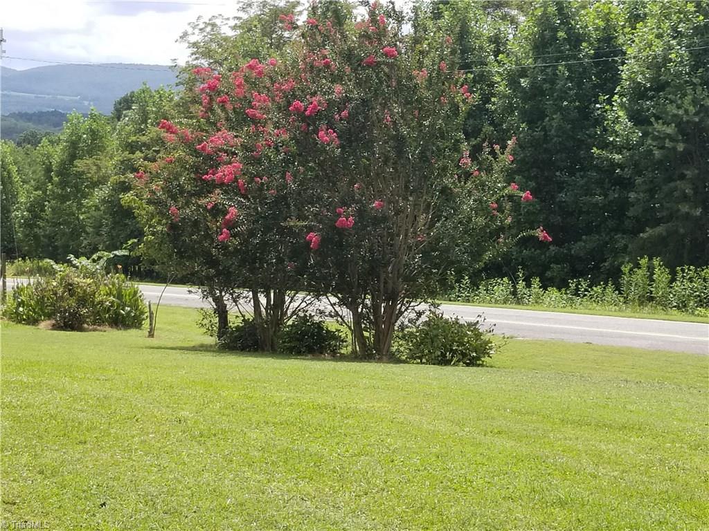 1802 Simmons Road Westfield, NC 27053 - Photo 11 of 29 View of front yard