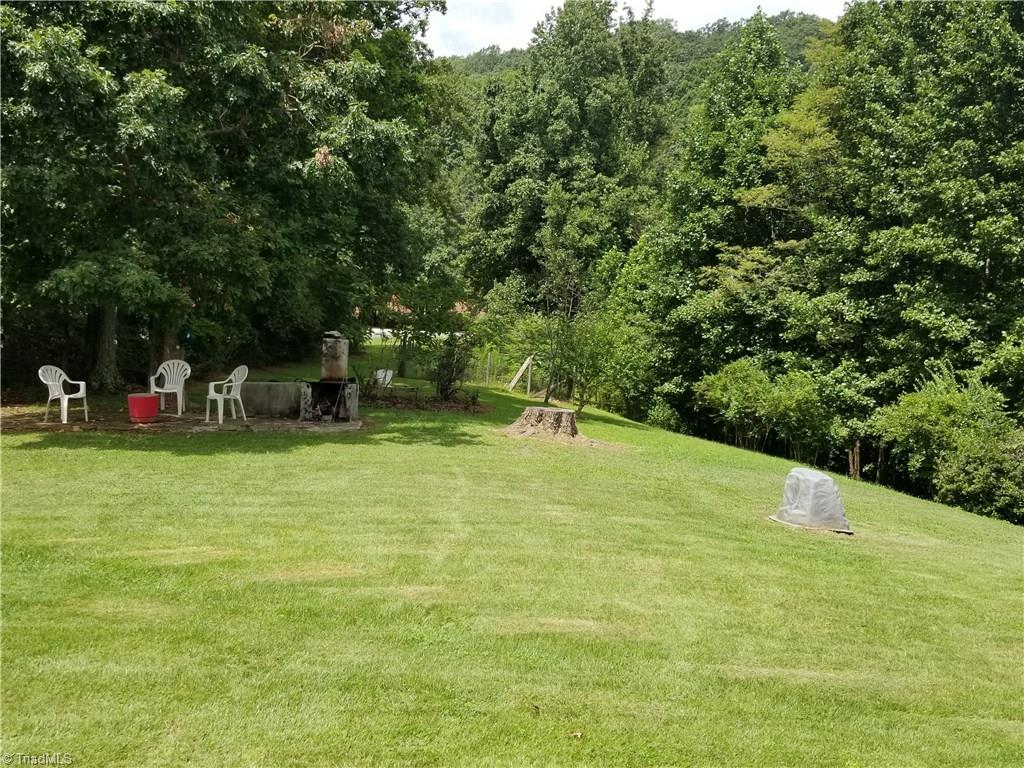 1802 Simmons Road Westfield, NC 27053 - Photo 10 of 29 View of side of yard
