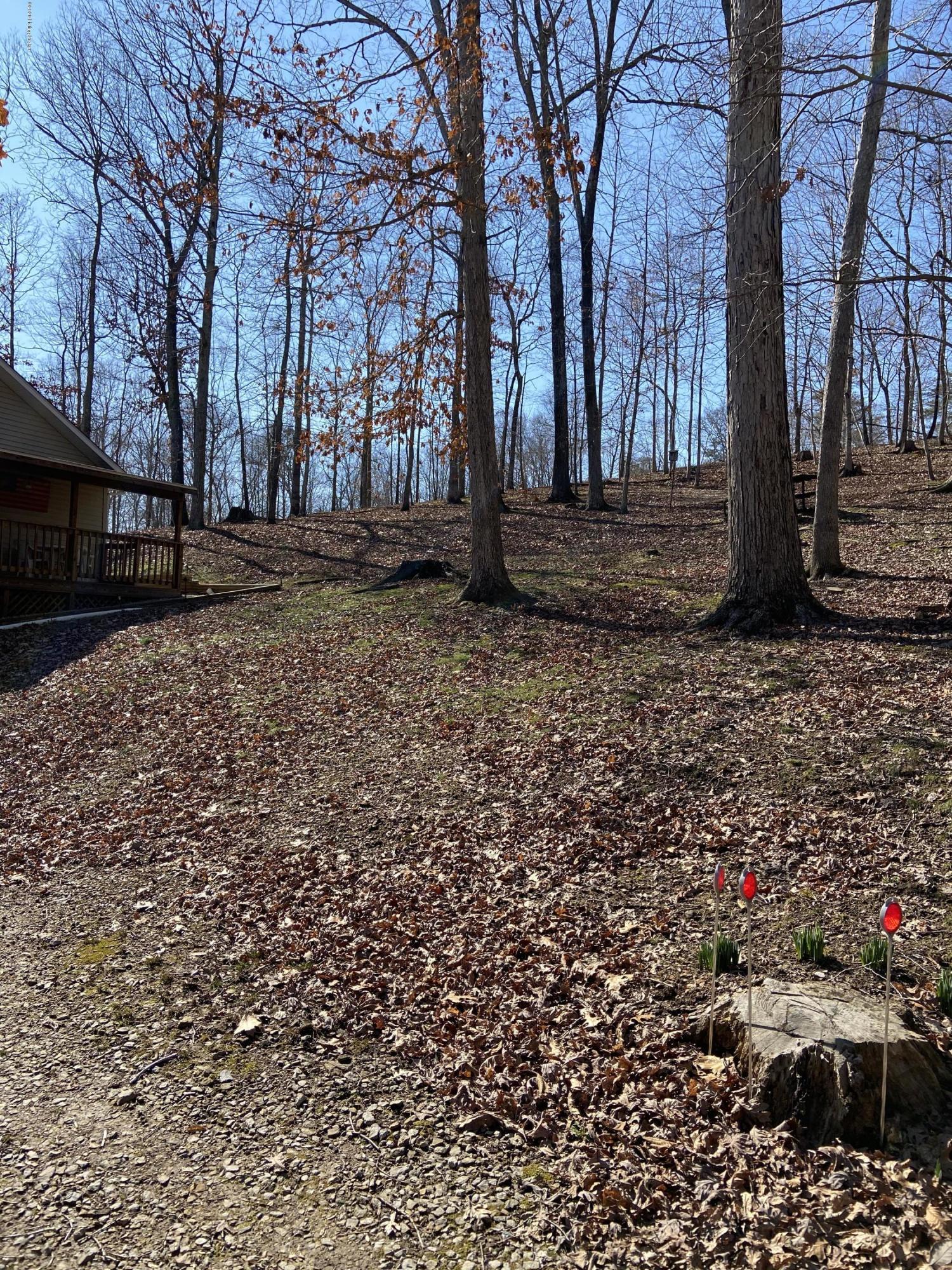 103 Hillview Camp Road Bee Spring, KY 42207 - Photo 13 of 56 IMG-4706