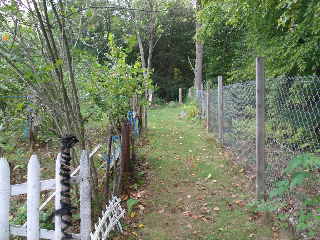 115-119 Springfield Street Three Rivers, MA 01080 - Photo 8 of 30 a view of a forest