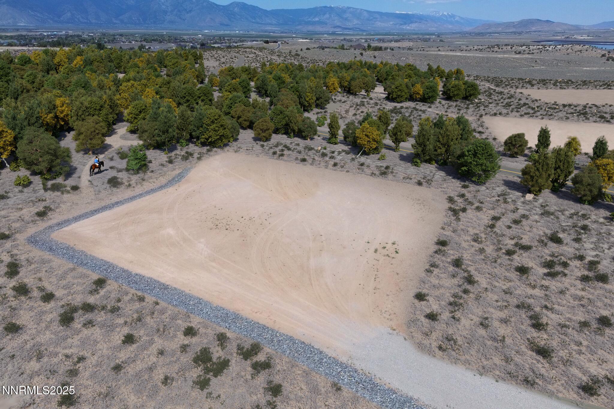2012 Currant Court, Unit 4 Gardnerville, NV 89410 - Photo 4 of 5 a view of a dry yard with mountain and trees