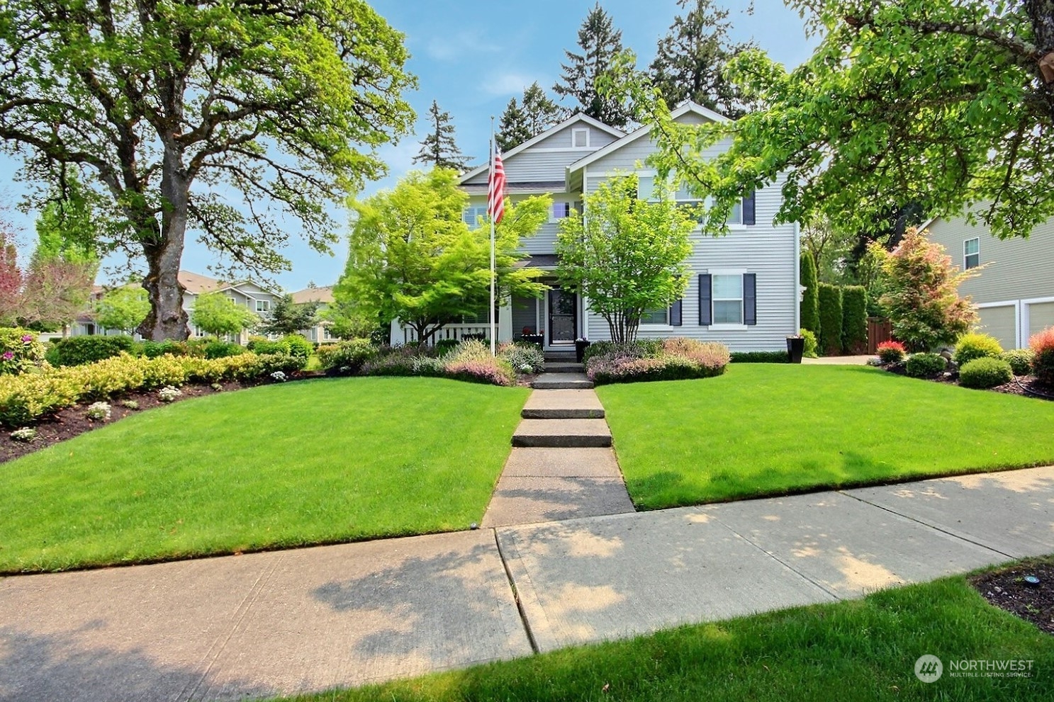 a view of a yard with plants and trees