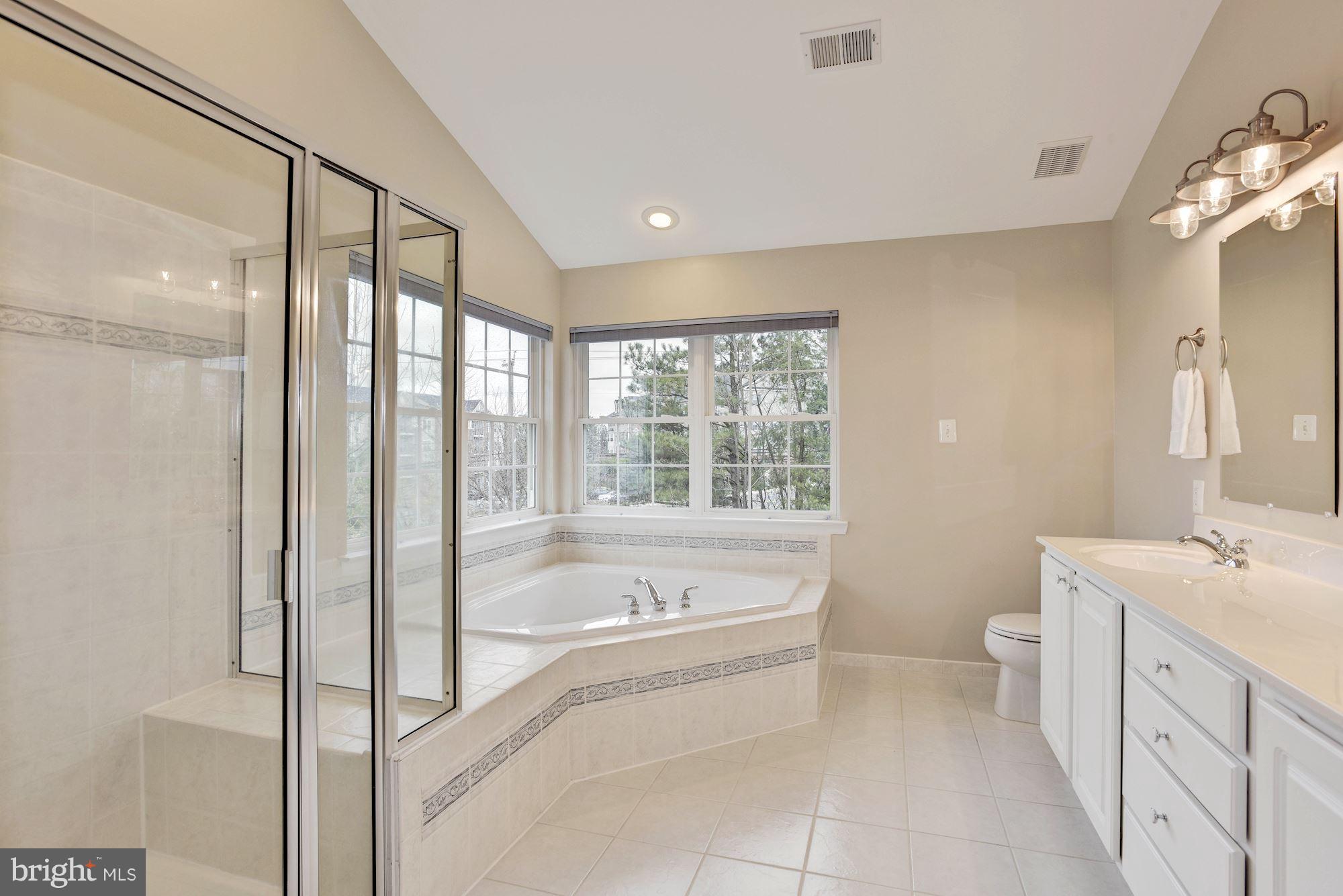 7601 Bear Forest Road Hanover, MD 21076 - Photo 20 of 30 Master Bath