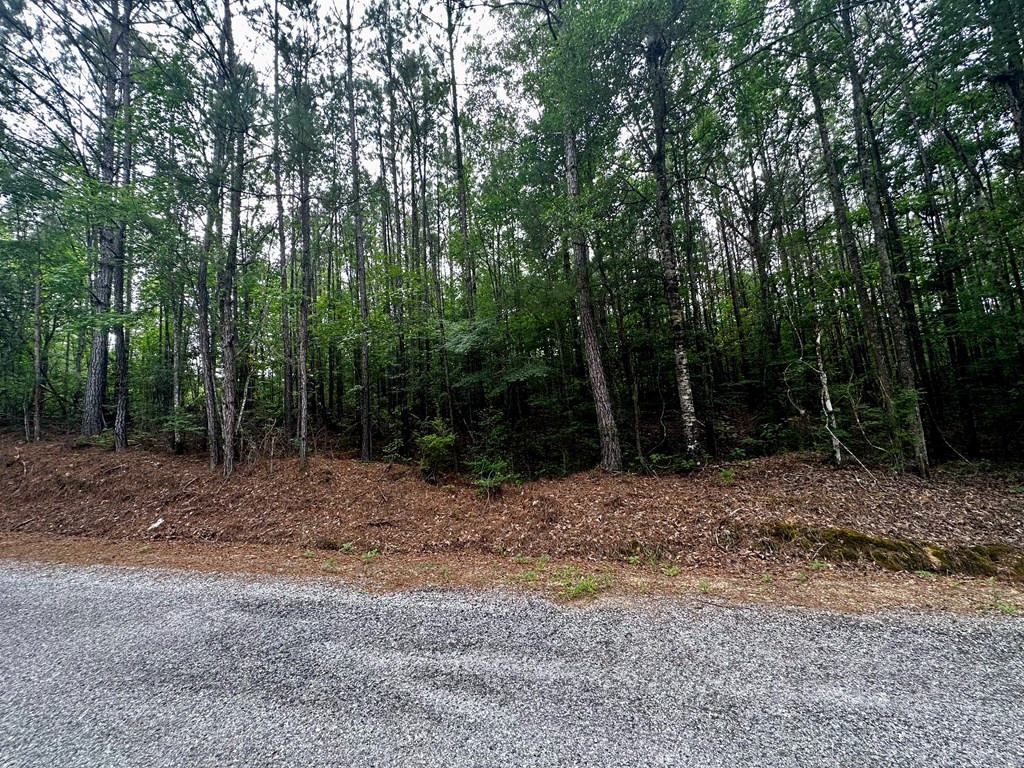 0 West Nebo Road Gloster, MS 39638 - Photo 3 of 5 Photo 3