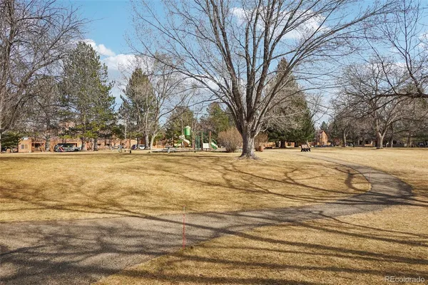 a park view with large trees