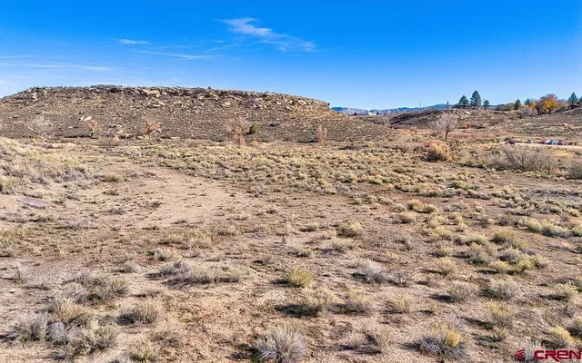 view of a wall with a bench in front of it