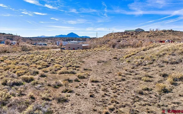 a view of a road from a yard