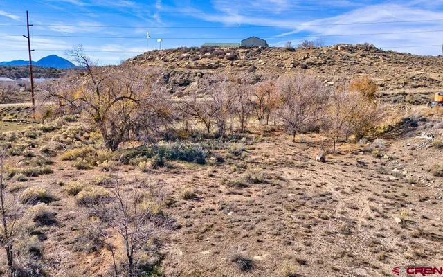 a view of a dry yard with wooden fence