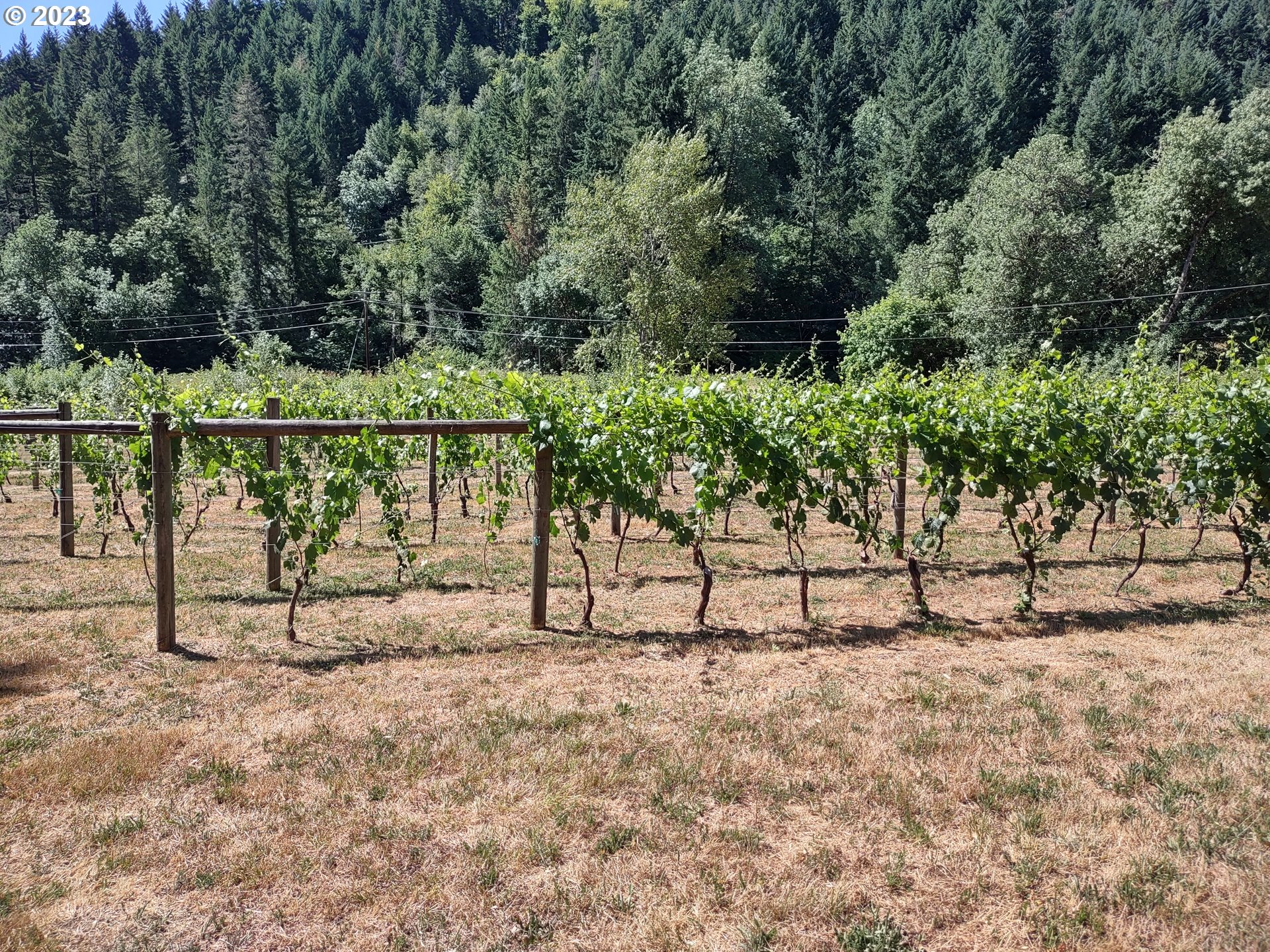 375 Porter Creek Road Winston, OR 97496 - Photo 40 of 41