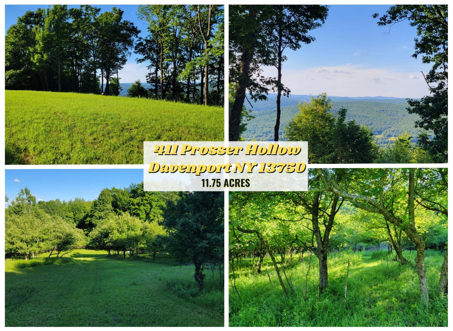 411 Prosser Hollow Road Oneonta, NY 13820 - Photo 1 of 1 Gallery Image 1