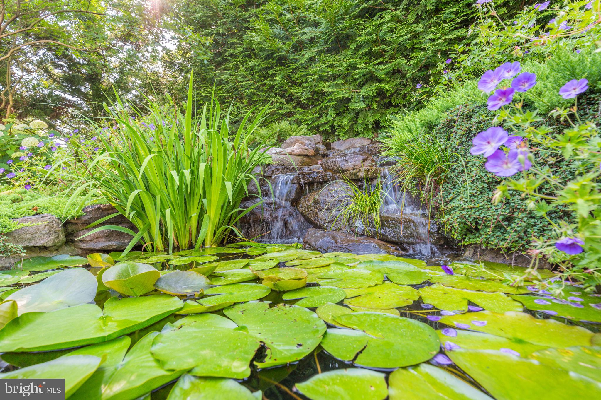 2611 Bainbridge Lane Silver Spring, MD 20906 - Photo 38 of 40