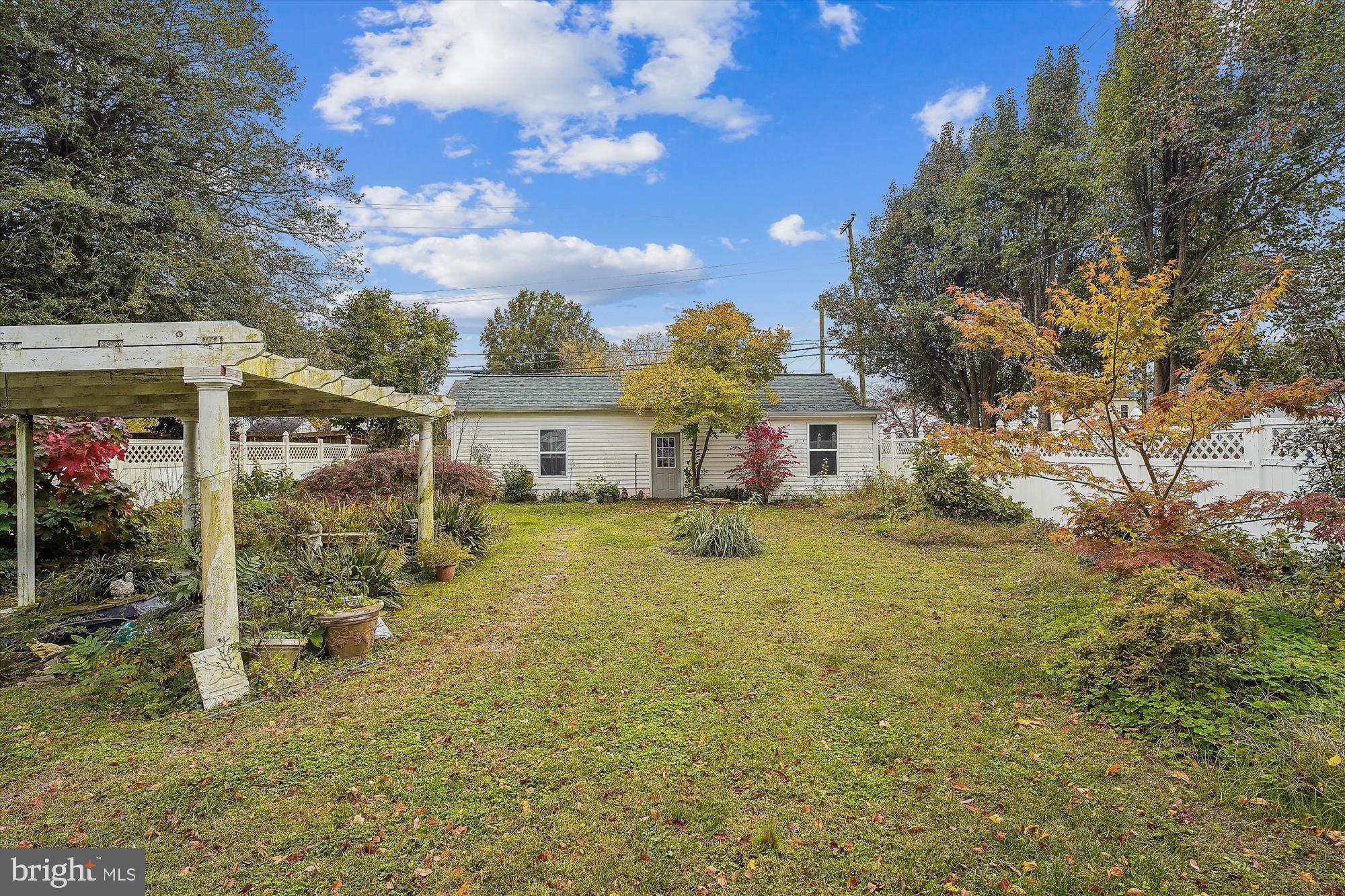 201 Central Avenue Ridgely, MD 21660 - Photo 5 of 36 Back Yard