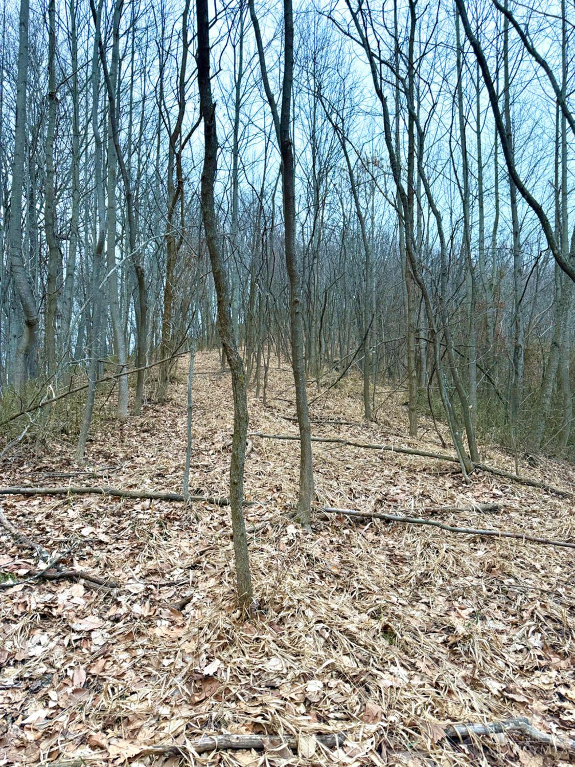 0 Straight Creek Road Waverly, OH 45690 - Photo 10 of 71
