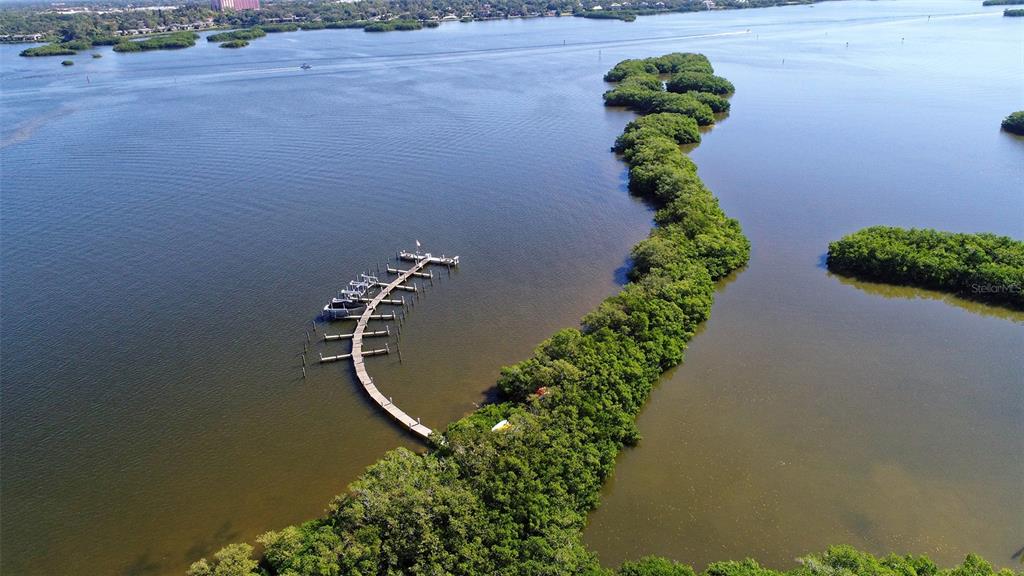 8764 Midnight Pass Road, Unit A306 Sarasota, FL 34242 - Photo 19 of 53 a view of a flower in a garden