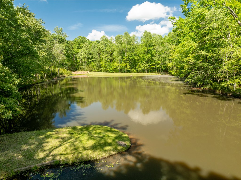859 Mt Airy Church Road Easley, SC 29642 - Photo 45 of 49 Gallery Image 45