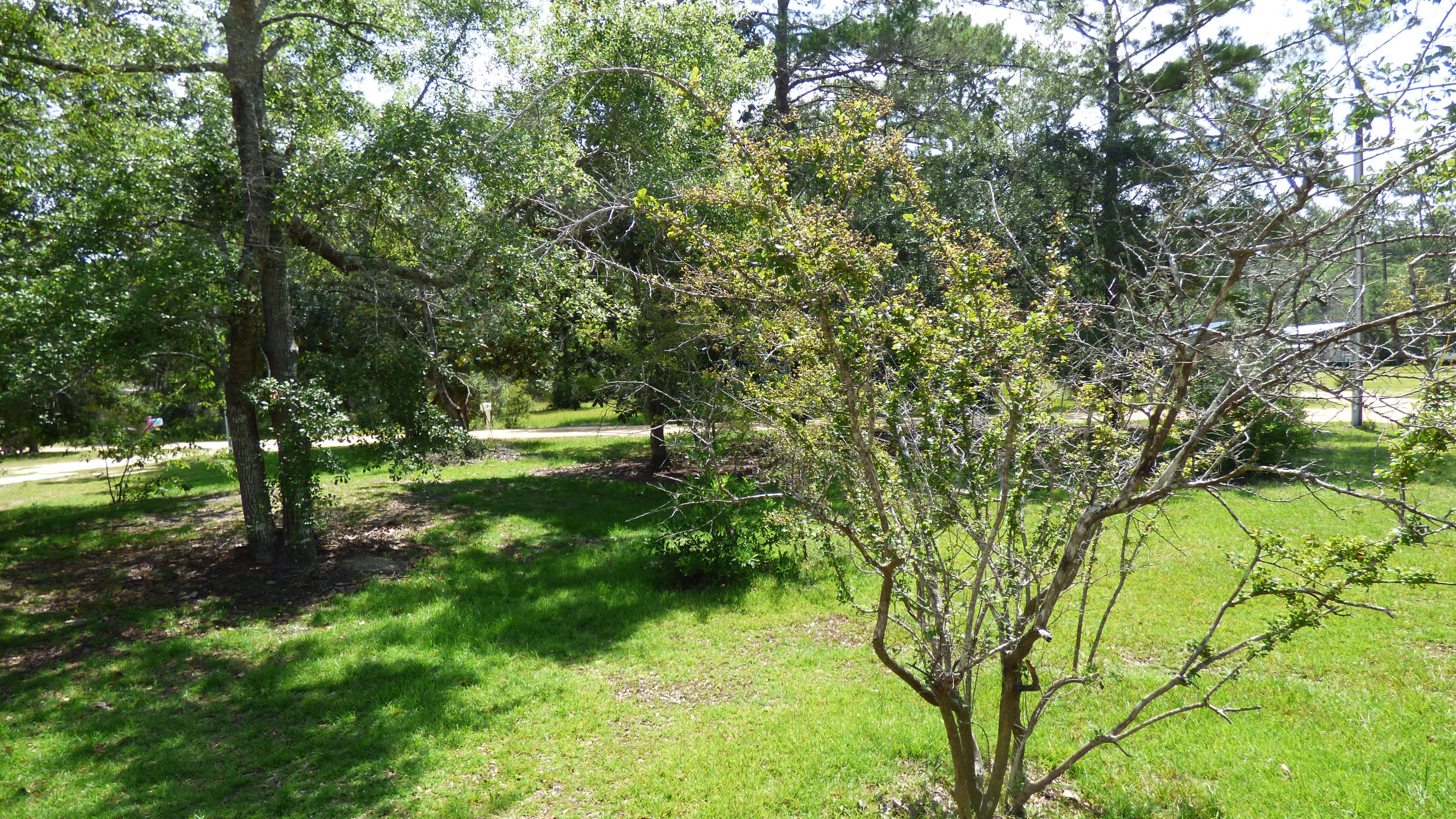 143 Anchor Road Freeport, FL 32439 - Photo 25 of 32 Gallery Image 25