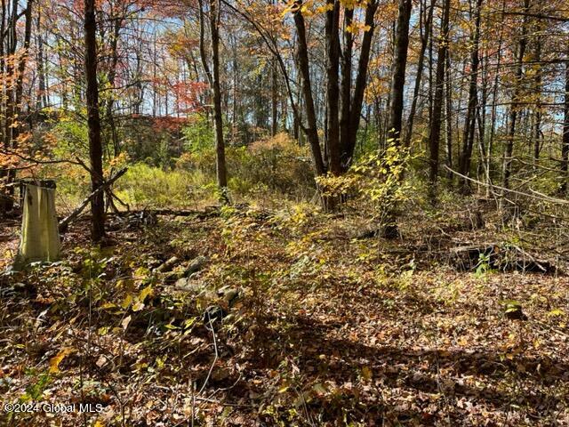 L30.2 Goewey Road Fultonville, NY 12072 - Photo 11 of 15 IMG_3607
