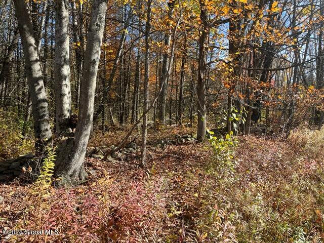 L30.2 Goewey Road Fultonville, NY 12072 - Photo 13 of 15 IMG_3610