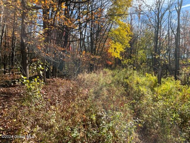 L30.2 Goewey Road Fultonville, NY 12072 - Photo 14 of 15 IMG_3611
