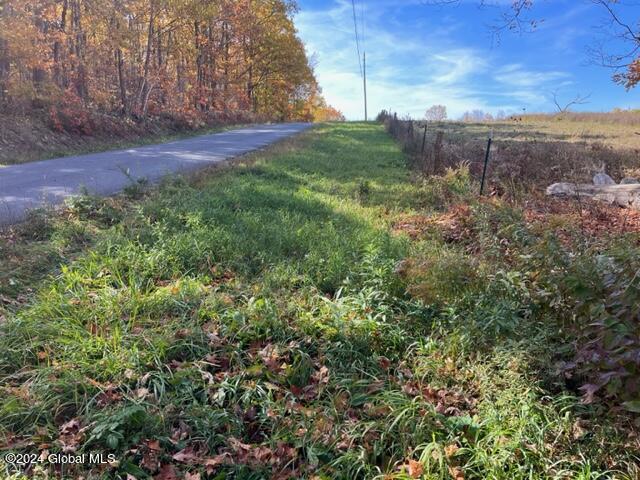 L30.2 Goewey Road Fultonville, NY 12072 - Photo 2 of 15 IMG_3599