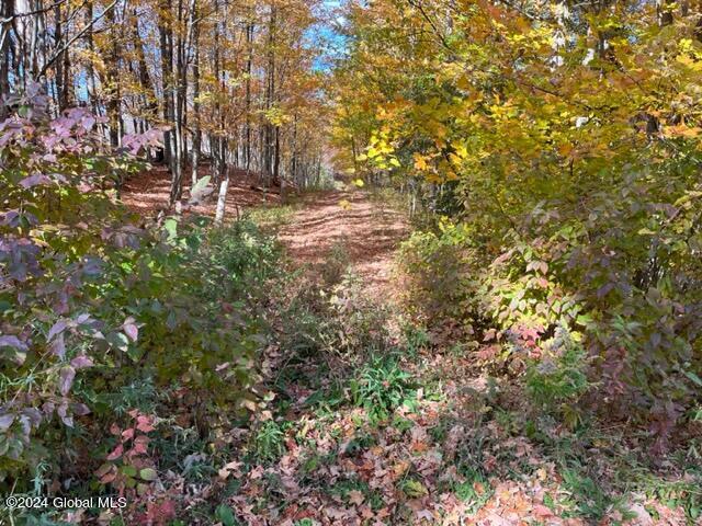 L30.2 Goewey Road Fultonville, NY 12072 - Photo 3 of 15 IMG_3598
