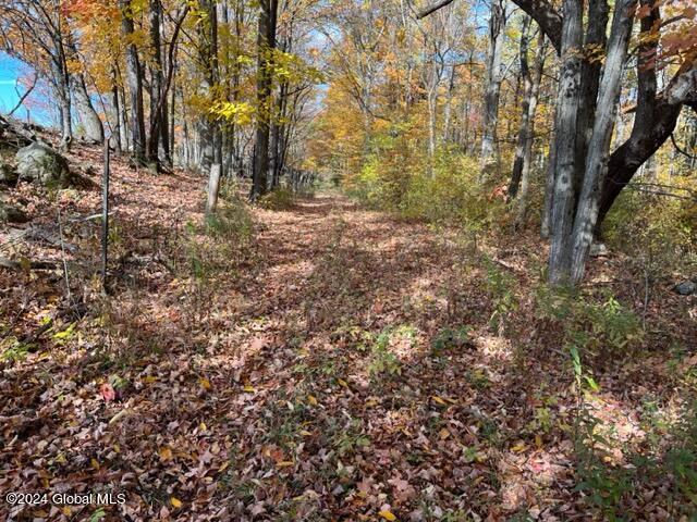 L30.2 Goewey Road Fultonville, NY 12072 - Photo 4 of 15 IMG_3600