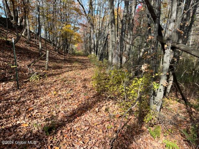 L30.2 Goewey Road Fultonville, NY 12072 - Photo 6 of 15 IMG_3602