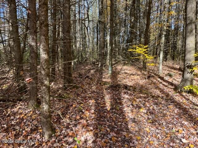 L30.2 Goewey Road Fultonville, NY 12072 - Photo 7 of 15 IMG_3603