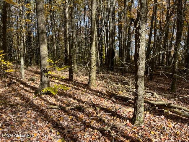 L30.2 Goewey Road Fultonville, NY 12072 - Photo 8 of 15 IMG_3604