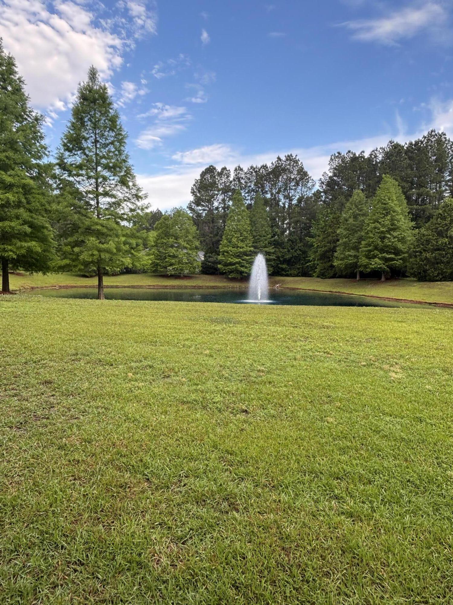 1206 Red Buckeye Court Moncks Corner, SC 29461 - Photo 75 of 89 IMG_2910