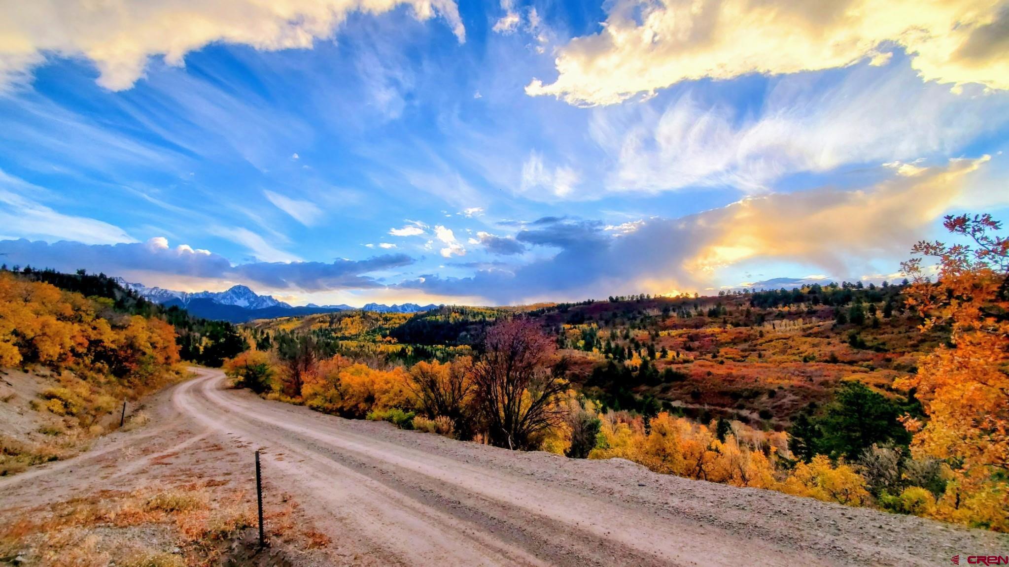 87 Which Way Ridgway, CO 81432 - Photo 12 of 45 a view of a lake