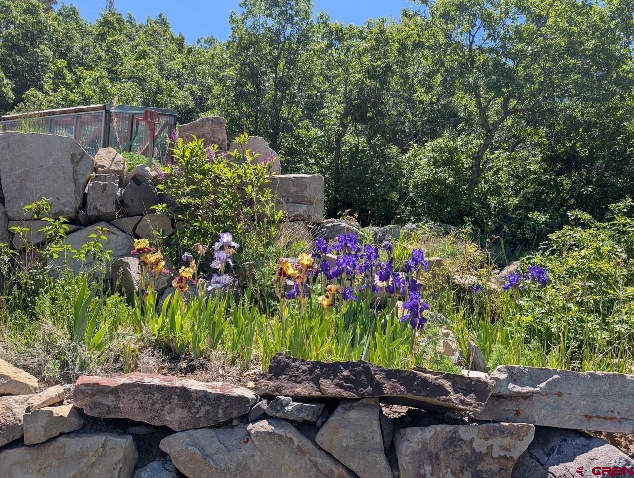 87 Which Way Ridgway, CO 81432 - Photo 15 of 45 a backyard of a house with lots of green space and a fountain