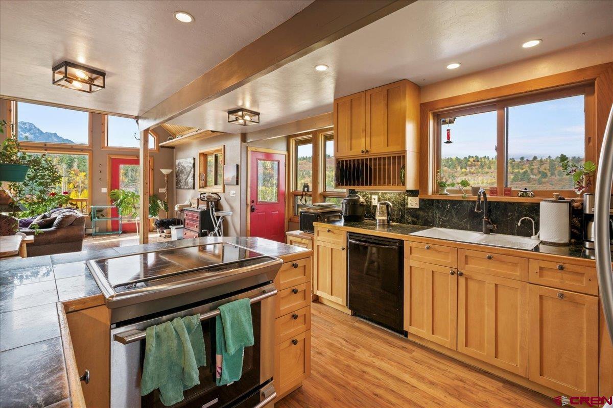 87 Which Way Ridgway, CO 81432 - Photo 25 of 45 a kitchen with stainless steel appliances granite countertop a stove a sink dishwasher a microwave oven with cabinets and wooden floor