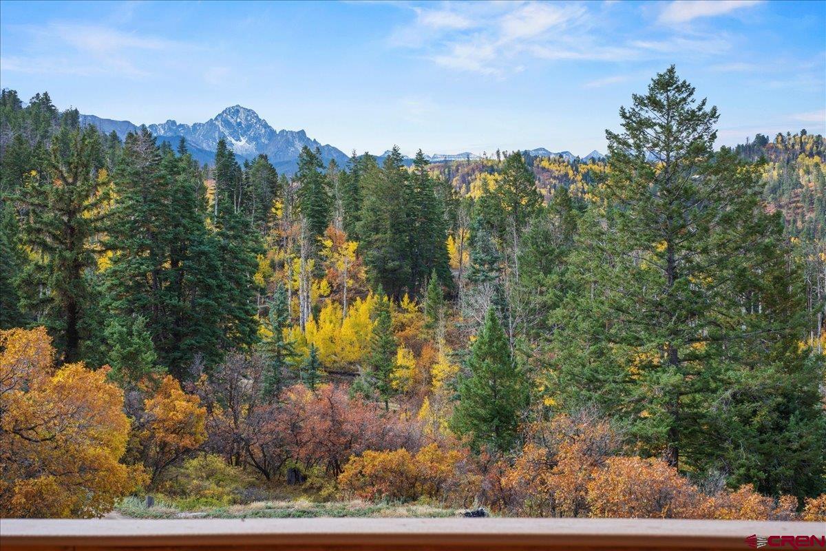 87 Which Way Ridgway, CO 81432 - Photo 29 of 45 a view of a houses of a yard